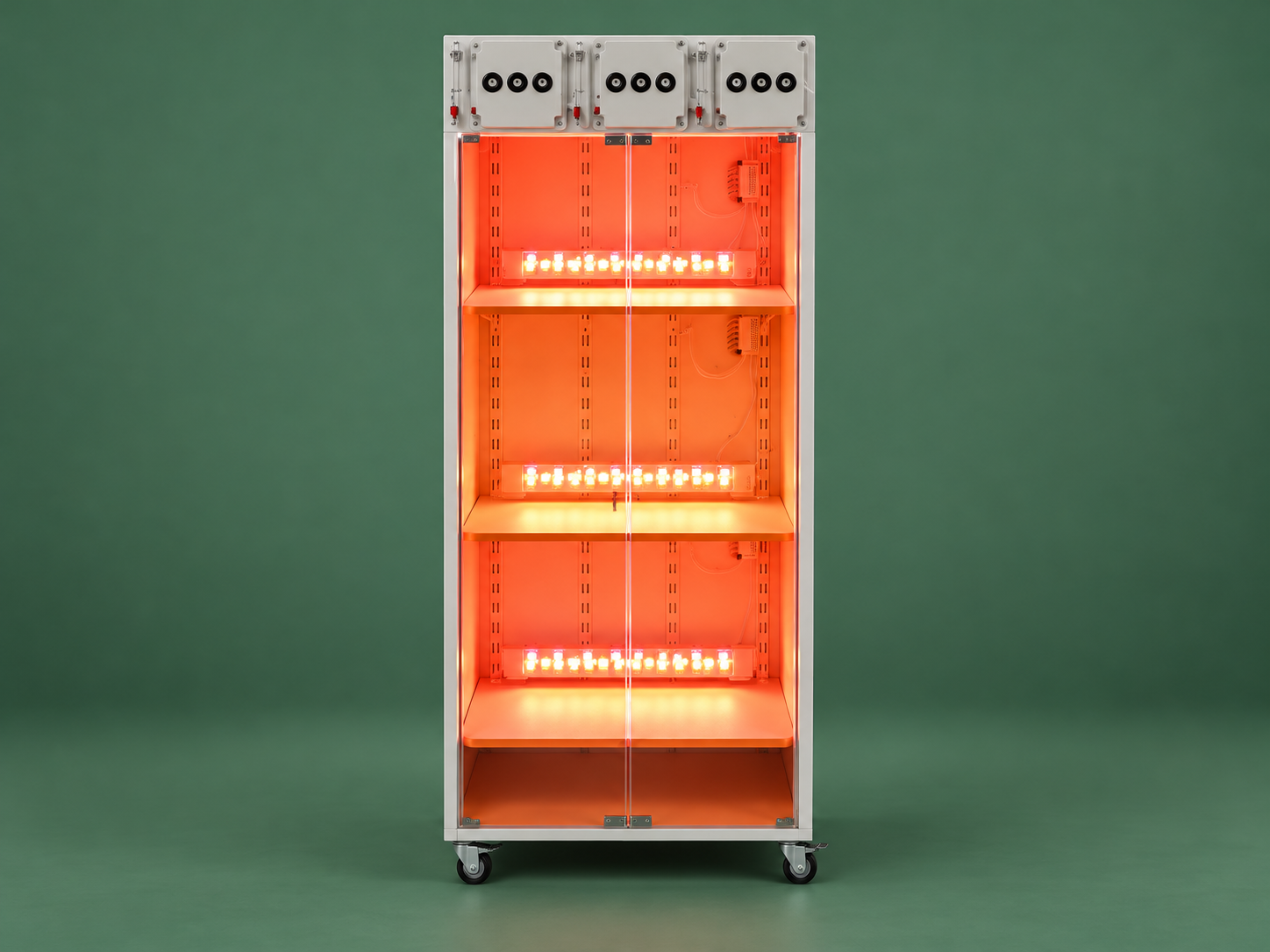 Armoire souchothèque France PBR