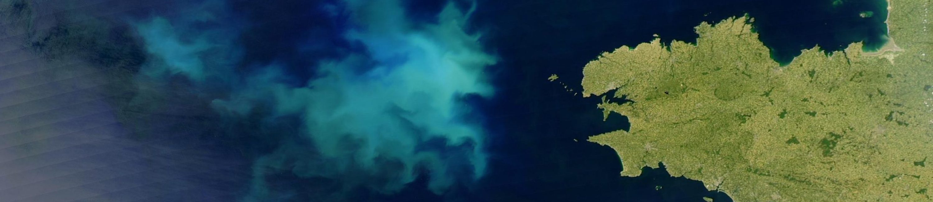 Algal_bloom_20040615
